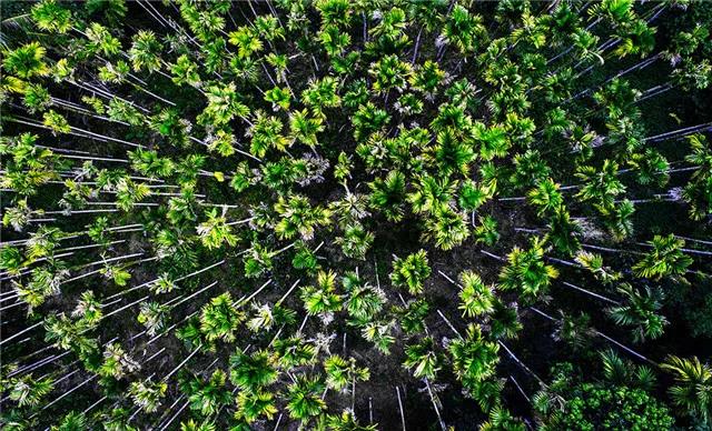 微信圖片_20190514145611