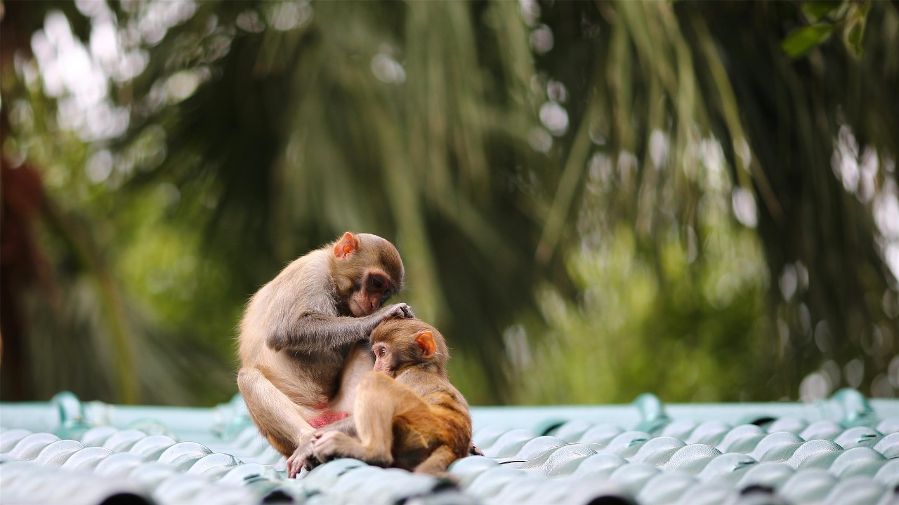 微信圖片_20190517145624