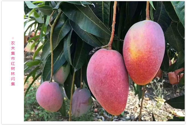 微信截圖_20190523181924