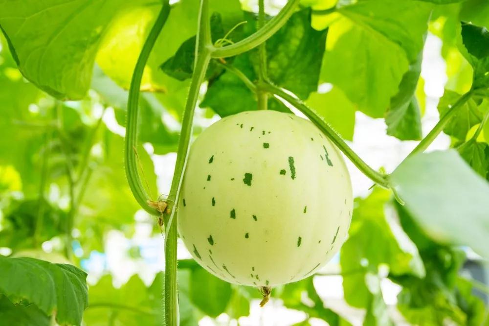 微信圖片_20190523181838