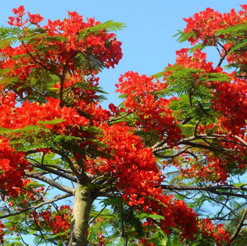 微信圖片_20190524192213