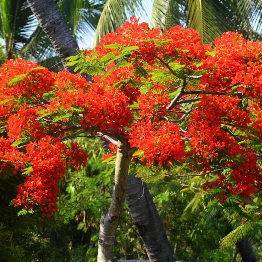 微信圖片_20190524192204