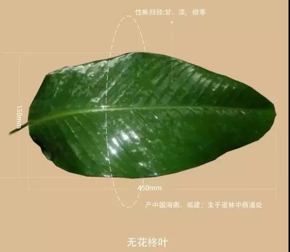 微信圖片_20190603095515