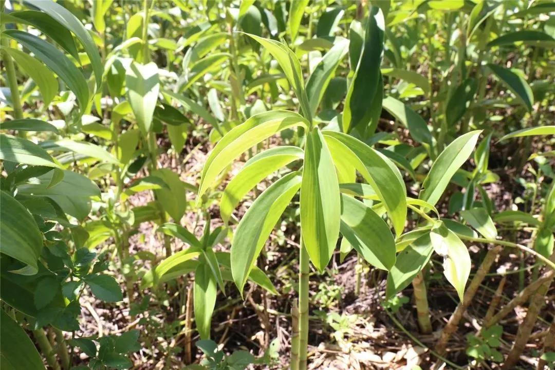 微信圖片_20190704163400