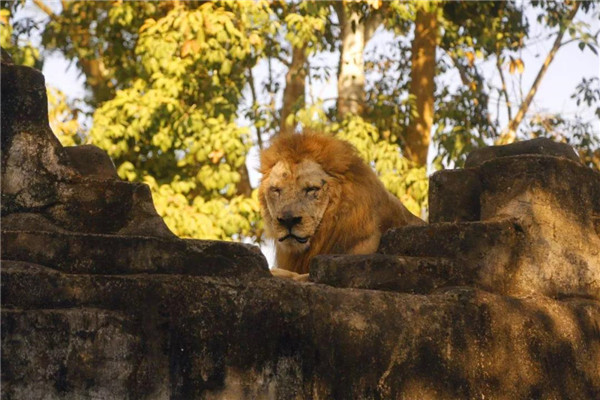 微信圖片_20190712095524