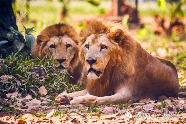 微信圖片_20190712095459