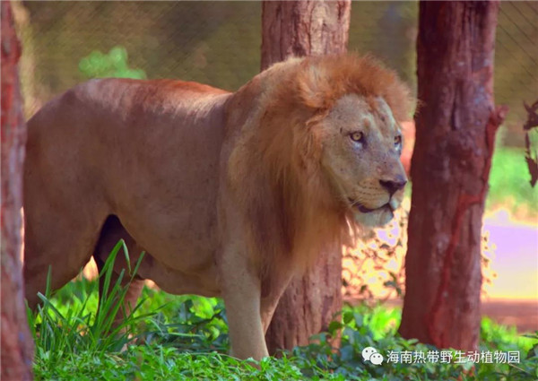 微信圖片_20190712095535