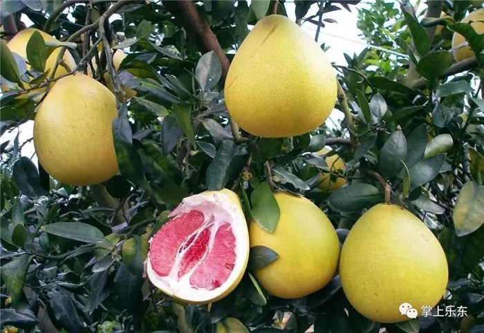 微信圖片_20190801085346