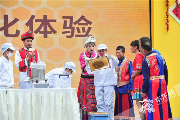 2ca33f99-eac0-472b-919c-3a2e3d64d213