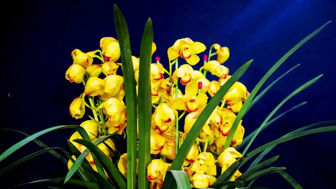 微信圖片_20191231150200