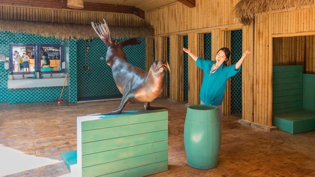 微信圖片_20200501125255