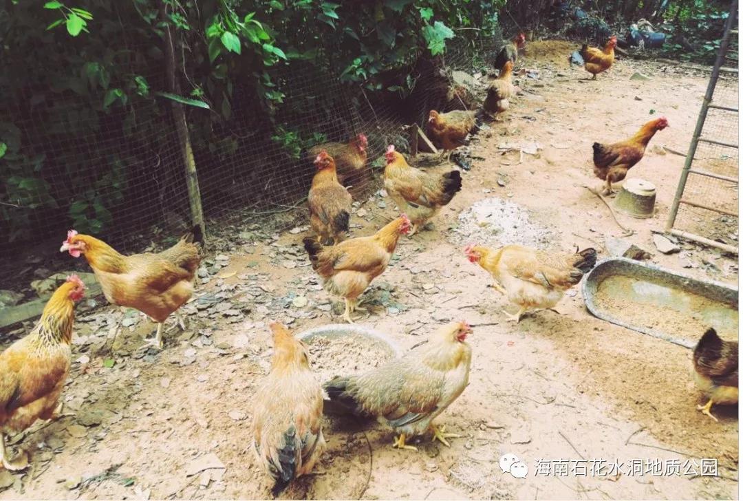 微信圖片_20200831094452