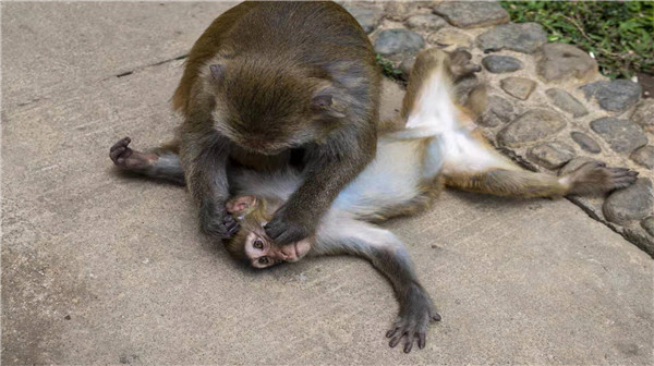 13b84ea3a71fb4f649eec42279ec14b