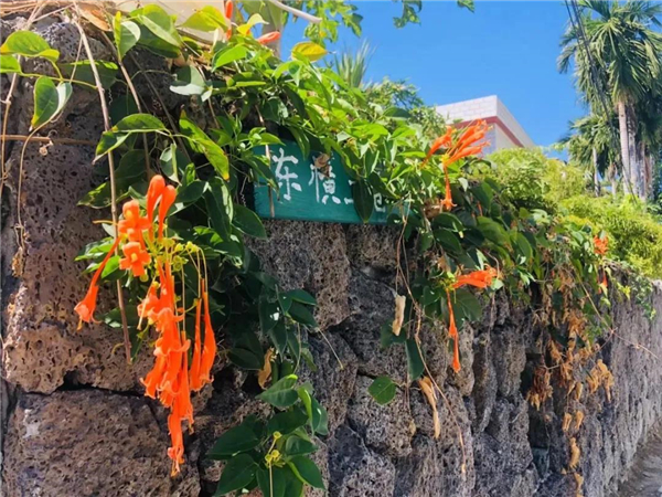 微信圖片_20210307113125