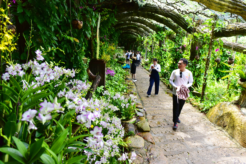 微信圖片_20210615152055