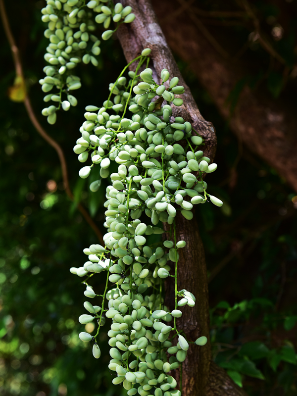 微信圖片_20210622164206