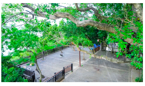 微信截圖_20210819085512