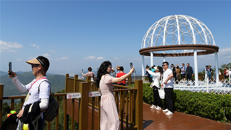 20240212230112_39533