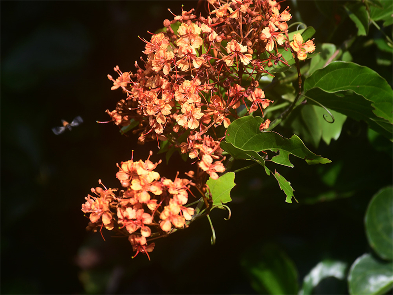 20240826165759_67743