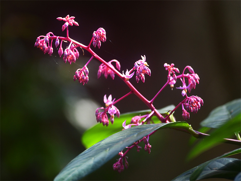 20250305211236_22625